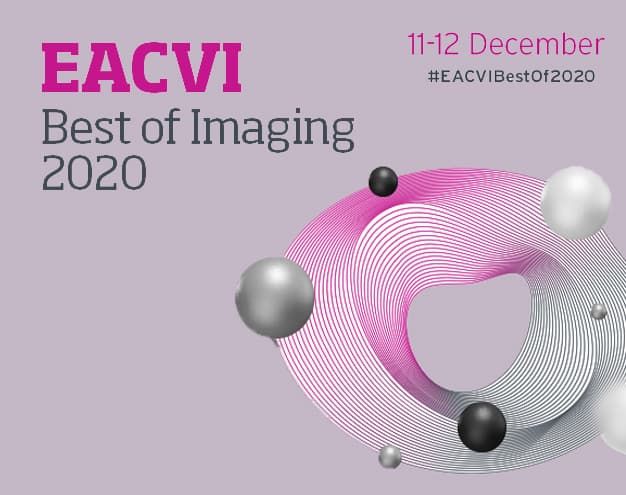 Врачи Клиники приняли участие в  Европейском конгрессе по визуализации в кардиологии 11- 12 декабря 2020 г.