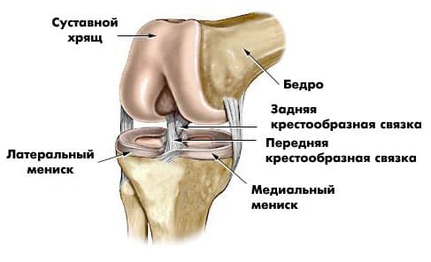 кресты травма