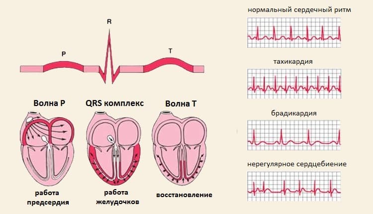 Комментарии и отзывы (2)