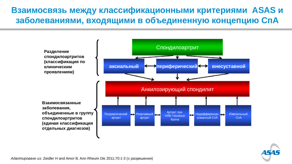 Причины возникновения анкилозирующего спондилоартрита