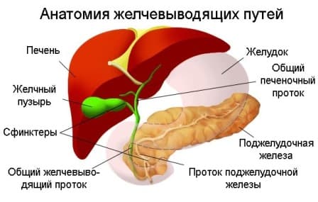 Реферат: Дискинезия желчевыводящих путей