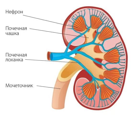 stroeniye.jpg