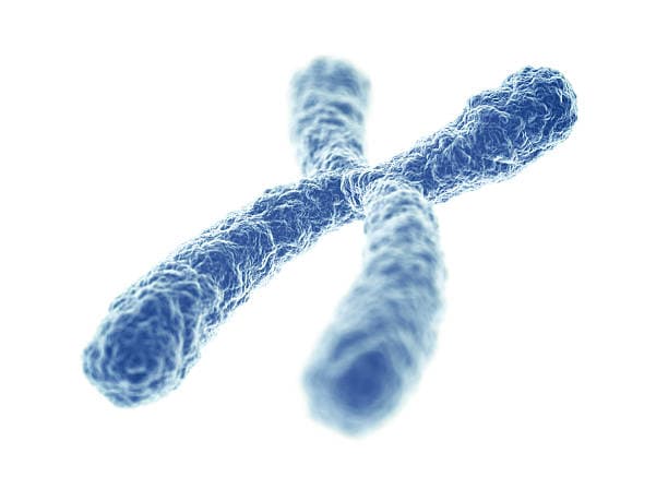 хромосома.jpg
