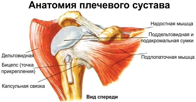 Как предотвратить травмы вращателей плеча основные ошибки и советы